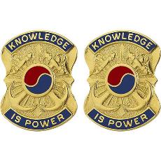 163rd Military Intelligence Battalion Unit Crest (Knowledge is Power)